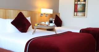 Отель CityNorth Hotel & Conference Centre Gormanston Двухместный номер Делюкс с 1 кроватью-2